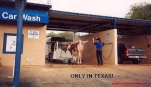 funny-picture-1642