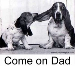 funny-picture-3828