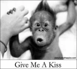 funny-picture-4152