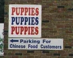 funny-picture-1748