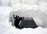 funny-picture-842