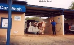 CARWASH