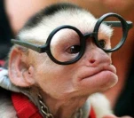 larrykinglive