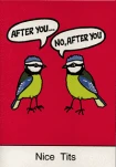 funny-picture-3681