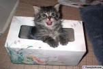 funny-picture-5398