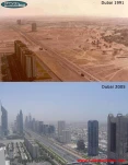 funny-picture-3394