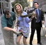 SNAKE