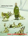funny-picture-1668