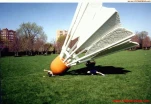 funny-picture-487
