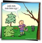 funny-picture-282