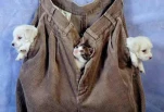 funny-picture-673