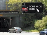 funny-picture-877