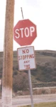 funny-picture-75