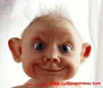 funny-picture-3840
