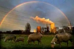 funny-picture-116
