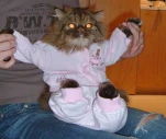funny-picture-2923