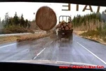 funny-picture-2030