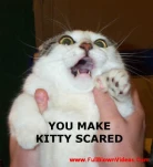 funny-picture-3855