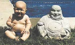 funny-picture-437