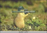 funny-picture-2228