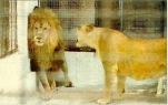 funny-picture-3369