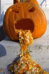 funny-picture-1732