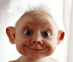 funny-picture-276