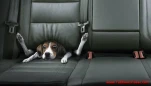 funny-picture-4727