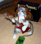 funny-picture-3575