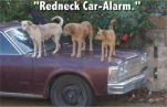 funny-picture-3515