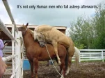funny-picture-5222