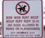 funny-picture-2745