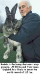 BIGBUNNY