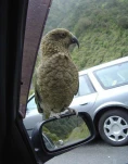 funny-picture-365