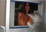 funny-picture-4870