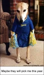 funny-picture-3009
