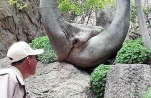 funny-picture-1237