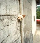 funny-picture-1433