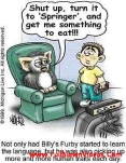 funny-picture-5351