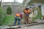 funny-picture-2027
