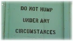 funny-picture-1055