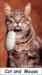 funny-picture-4790