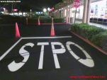 funny-picture-1503