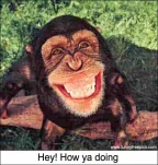 funny-picture-3961