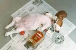 funny-picture-3237