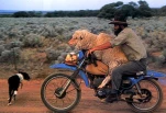 funny-picture-1903