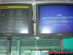 funny-picture-2445