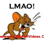 funny-picture-2548