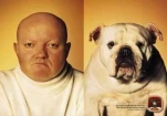 funny-picture-1320