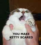 funny-picture-1720